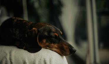 Noise and comfort