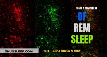 The Intriguing Link Between ______ and REM Sleep