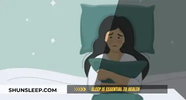 Sleep: A Man's Best Friend for Health and Wellness