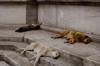 age groups sleep
