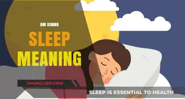 Sleep Talk: What "I'm Gonna Sleep" Really Means