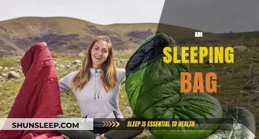 The Best Sleeping Bags for Camping Adventures