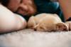 animals sleep