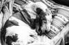 animals sleep