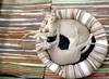 animals sleep