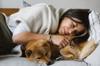 animals sleep