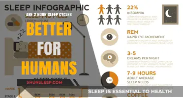 Unlocking Productivity: The Science Behind 2-Hour Sleep Cycles