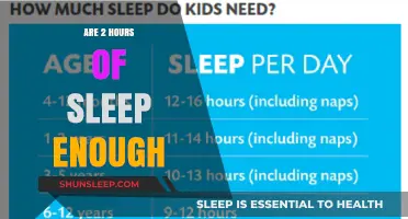Sleepless Nights: Exploring the Effects of Just 2 Hours of Rest