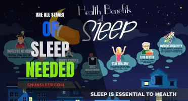 Sleep Stages: Are They All Essential?