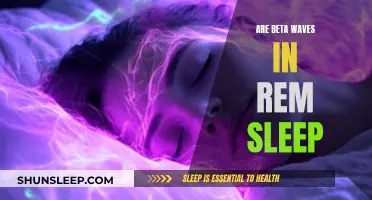 Beta Waves During REM Sleep: What Does It Mean?