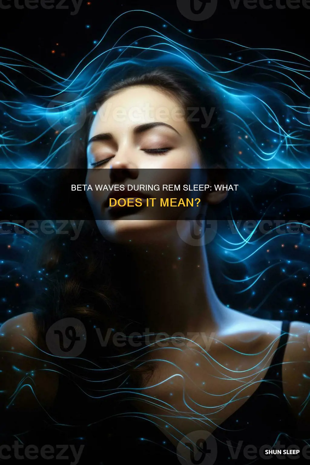 are beta waves in rem sleep