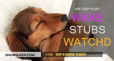 Deep Sleep, Wake-Up Calls: The Watchdog Effect