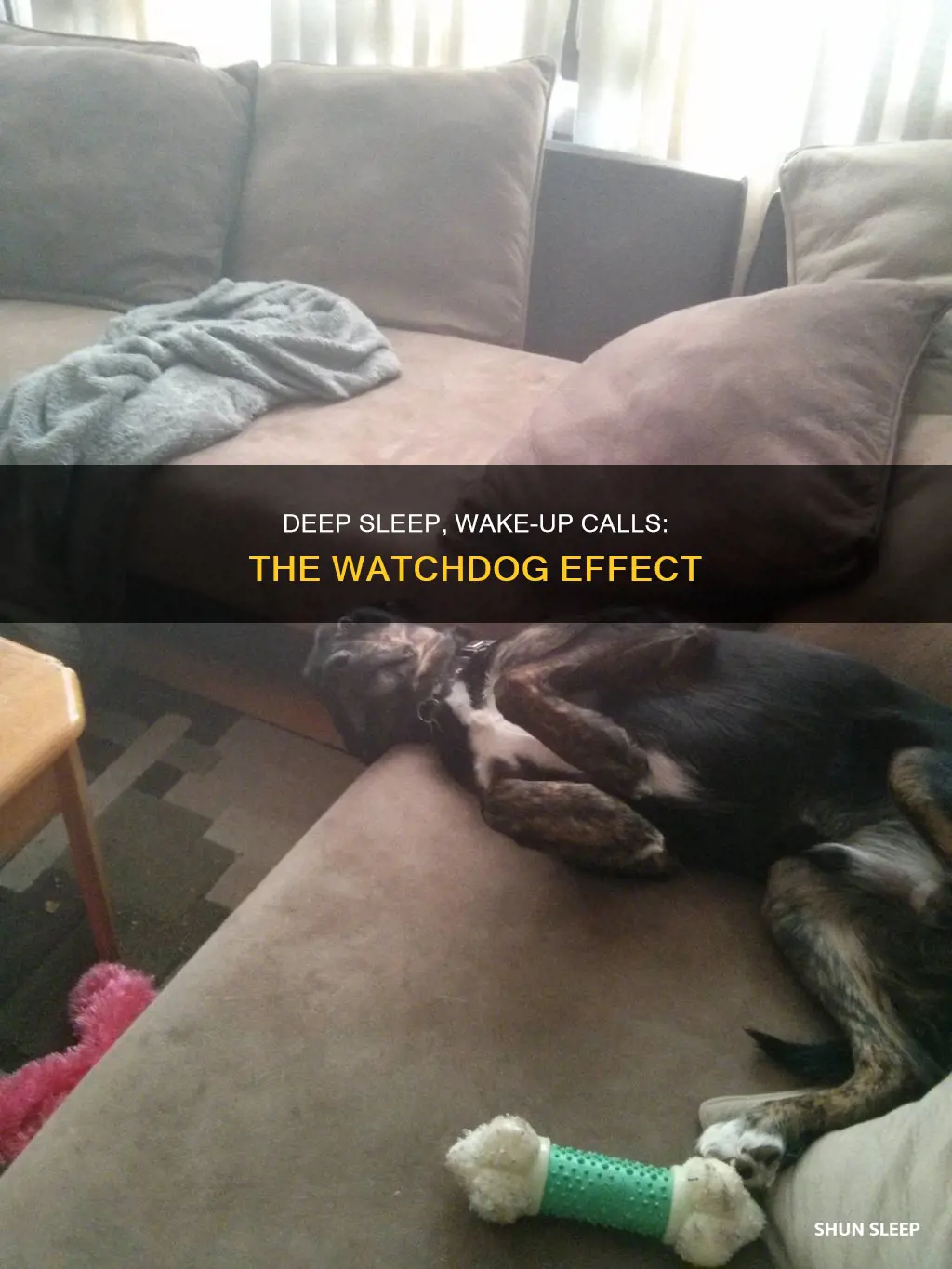 are deep sleep wake stubs watchdog