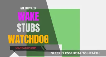 Deep Sleep: Are Wake Stubs a Watchdog Concern?