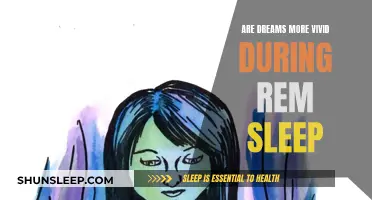 Vivid Dreams: The REM Sleep Connection