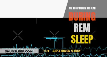 EEG Patterns During REM Sleep: Regular or Not?