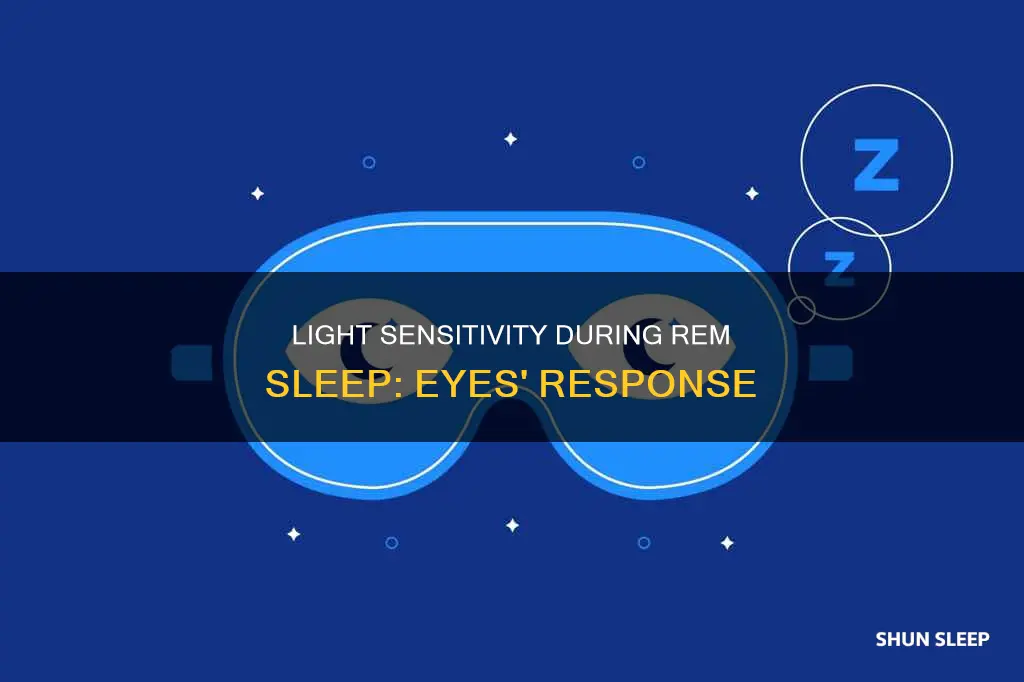 are eyes responsive to light in rem sleep