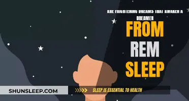 The Mystery of REM Sleep and Frightening Dreams