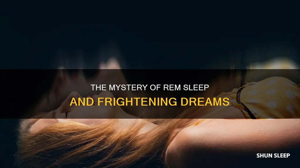 are frightening dreams that awaken a dreamer from rem sleep