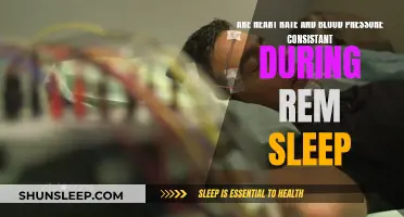 Heart Rate and Blood Pressure During REM Sleep