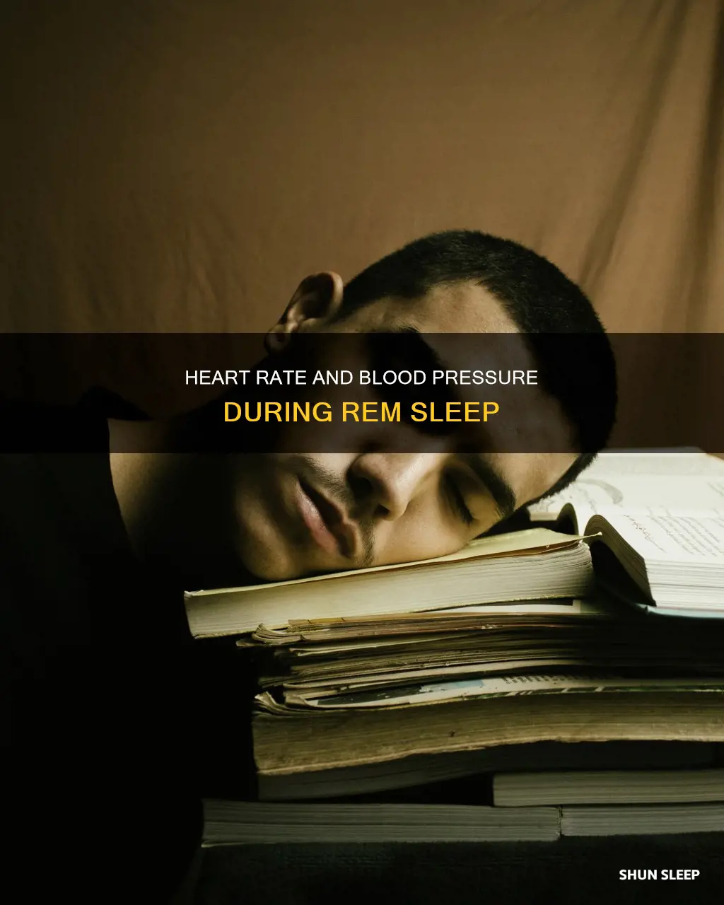 are heart rate and blood pressure consistant during rem sleep