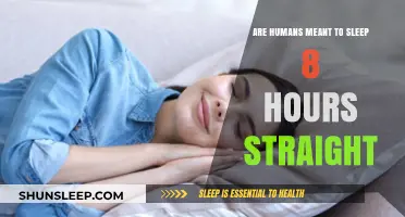 Unraveling the Myth: Are Humans Truly Designed for 8 Hours of Nonstop Sleep?