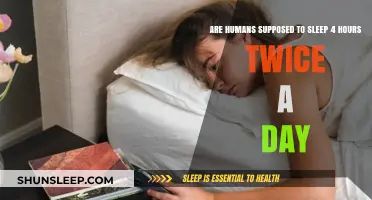 Debunking the Myth: Are Humans Supposed to Sleep 4 Hours Twice a Day?