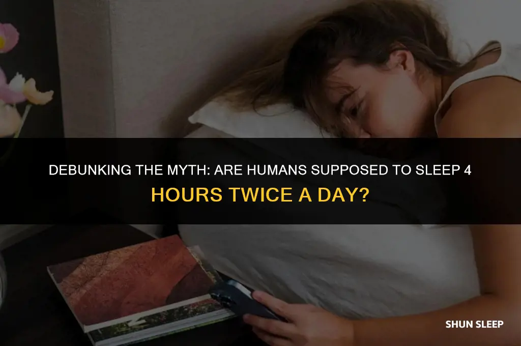 are humans supposed to sleep 4 hours twice a day