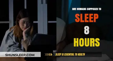 The Great Sleep Debate: Are 8 Hours Really Necessary for Humans?