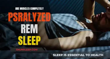 Muscle Paralysis During REM Sleep: What You Need to Know