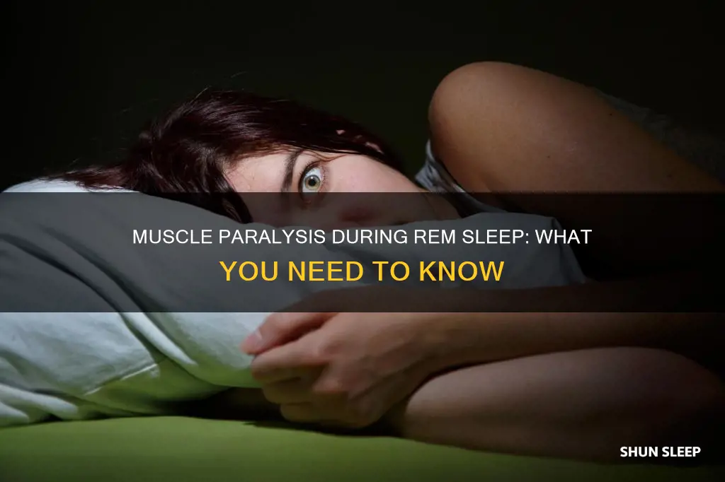 are muscles completely psralyzed rem sleep