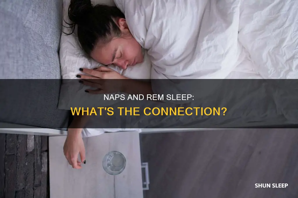 are naps rem sleep