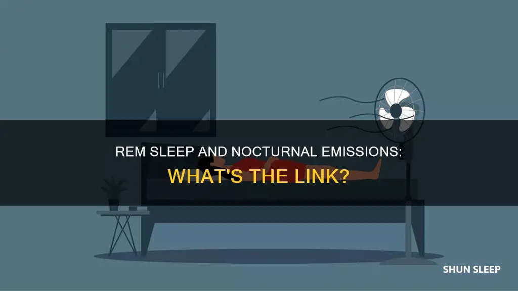 are nocturnal emissions during rem sleep