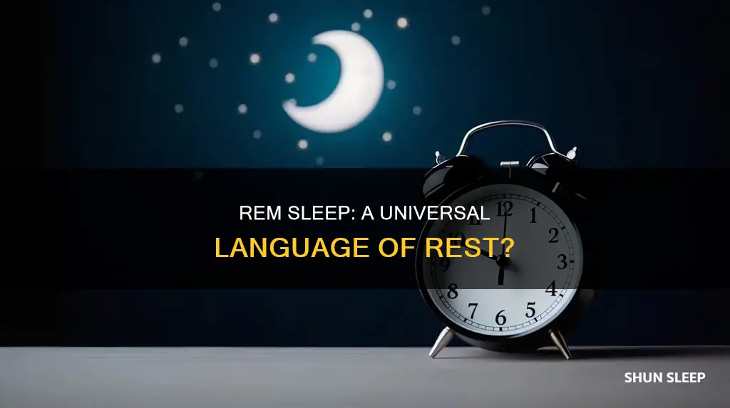 are rem sleep patterns similar in all species