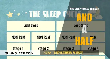 Unraveling the Mystery: Sleep Cycles and Their Duration