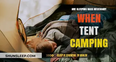 Sleeping Bags: Tent Camping Essential or Luxury?