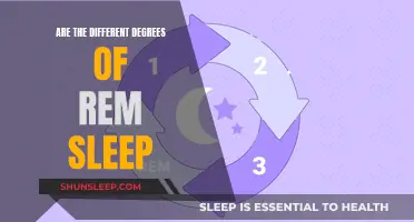 Exploring the Varied Depths of REM Sleep