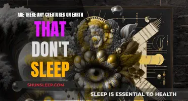 Mysterious Sleepless Creatures: Do They Exist on Earth?