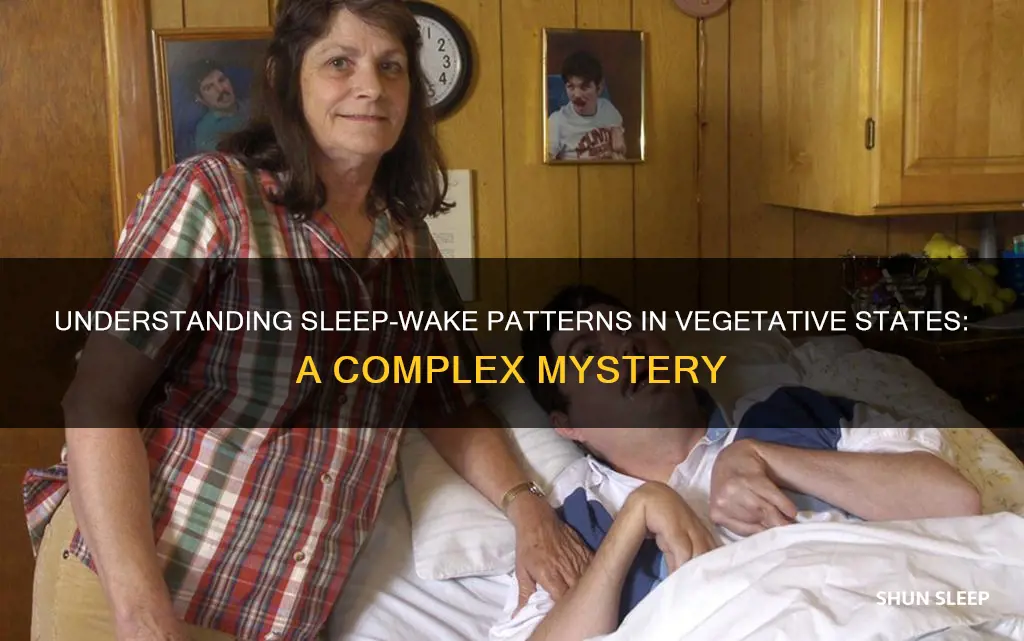 are there sleep wake cycles in a vegetative state