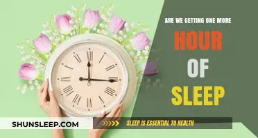 Spring Forward, Fall Back: The Eternal Debate on Daylight Saving Time