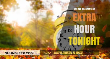 Spring Forward, Sleep Backward: The Daylight Saving Dilemma