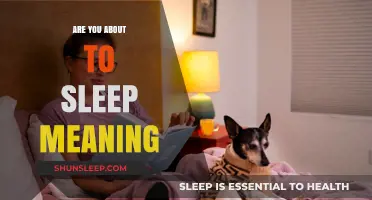 What 'Are You About to Sleep' Really Means