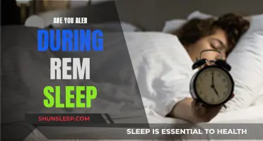 What Happens to Your Body During REM Sleep?