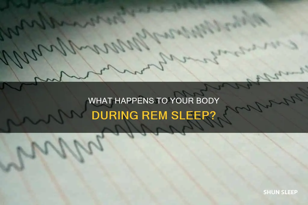 are you aler during rem sleep