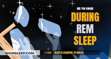 REM Sleep: Are You Truly Awake or Asleep?