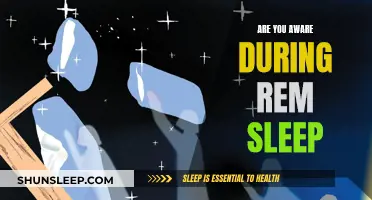 The Mystery of REM Sleep: Are You Aware?