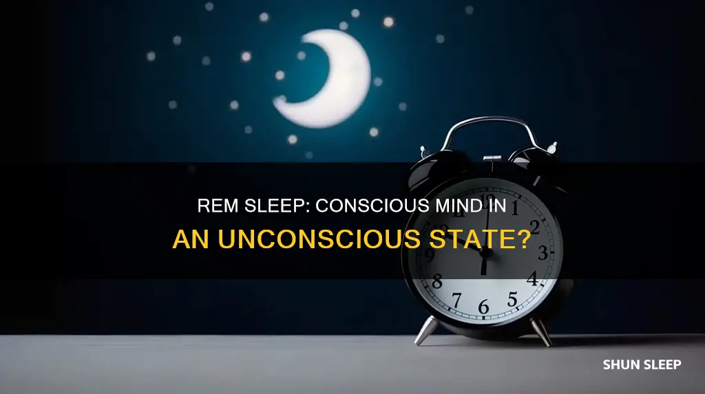 are you conscious during rem sleep