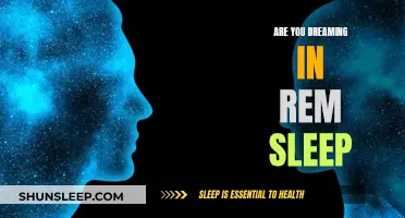 Dreaming in REM Sleep: What Does It Mean?