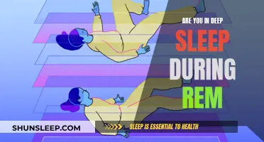 Deep Sleep and REM: What's the Connection?