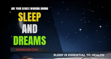 Senses During Sleep: Do They Work or Not?